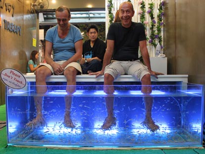 You can even get the fish to massage your feet