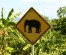 Elephant road sign in Thailand