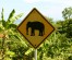 Elephant road sign in Thailand