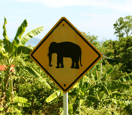 Elephant road sign in Thailand